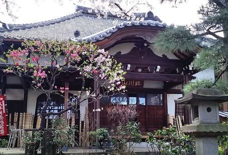 厳浄院