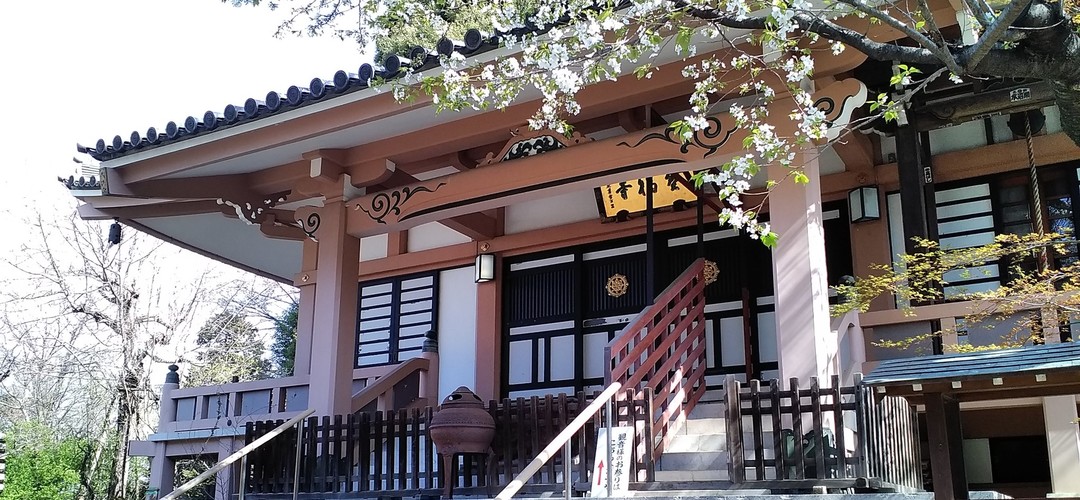 中野区、宝福寺、真言宗｜墓地環境プロジェクト