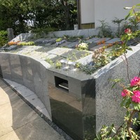 願正寺樹木墓「浄樹苑」　販売中