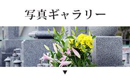 写真ギャラリー