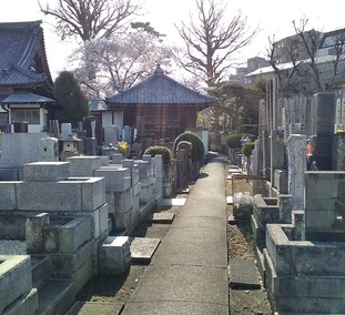 無量寺　墓所景観