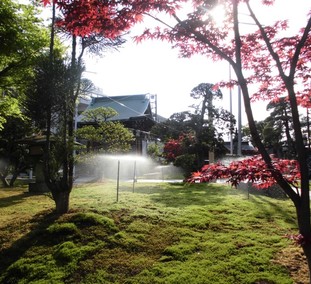 光明院　境内景観
