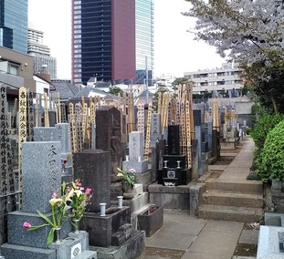 常林寺　墓所景観２