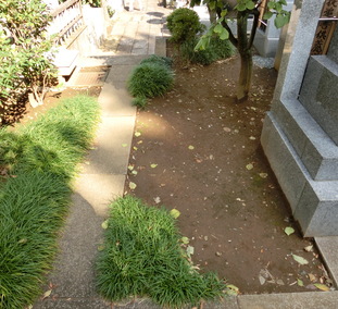 常林寺　墓所区画２