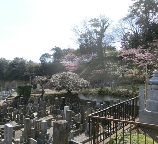 宝善院　墓所２