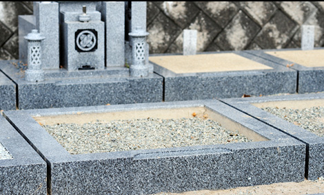 苗木のお手入れ